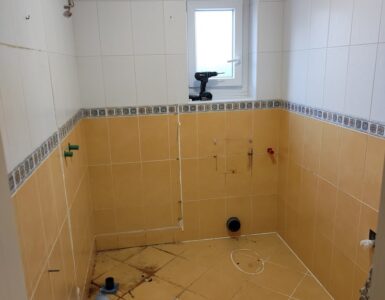 Adaptacija Celotne Kopalnice